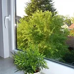 Апартаменты Ruhige Mit Balkon Und Parkplatz By Interhome *